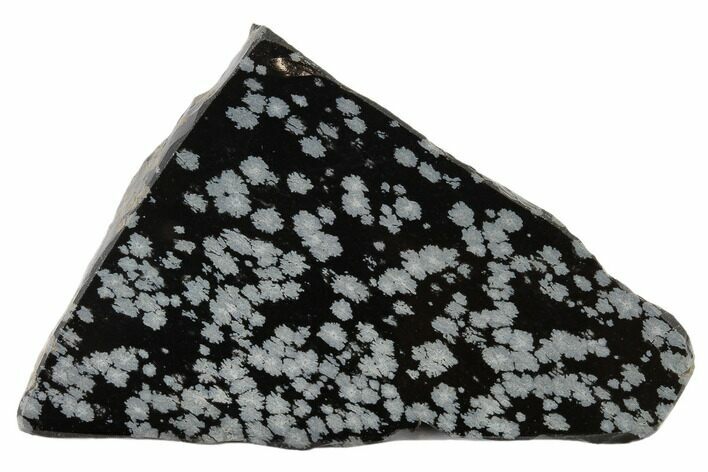 Polished Snowflake Obsidian Section - Utah #117757